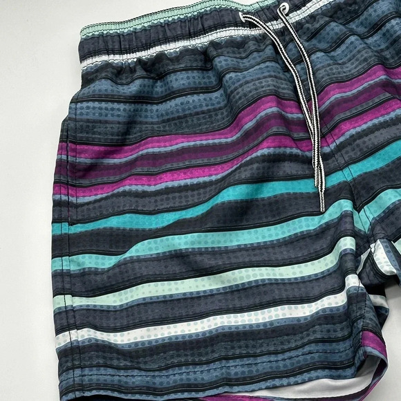 Speedo Men's 5.5" Volley Anthracite Cliff Stripe Swim Trunk Size M - Picture 4 of 9